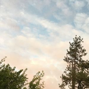 Meet your Posher, Isabel